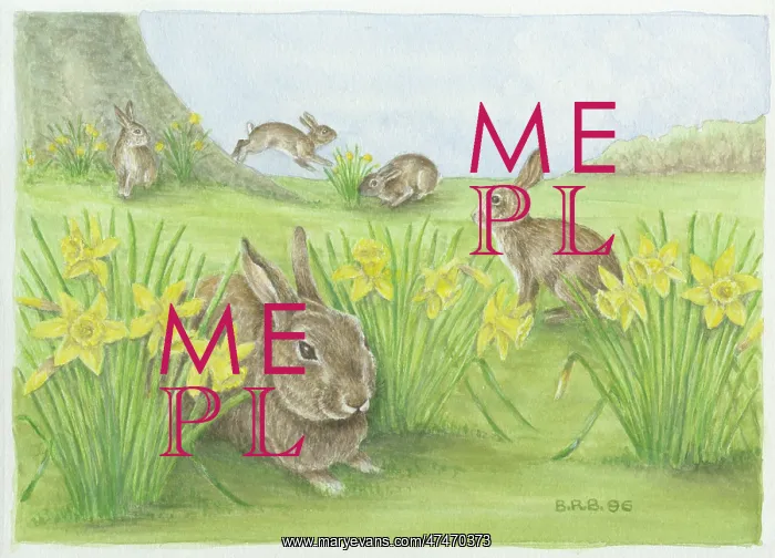  : Rabbits with daffodils in spring - five rabbits