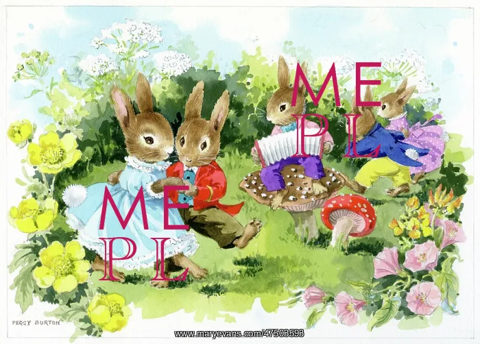 : Rabbits dancing to concertina : Rabbits dancing to concertina