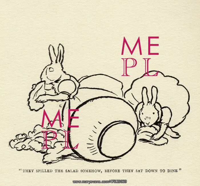 : Two rabbits eating salad : Two rabbits eating salad