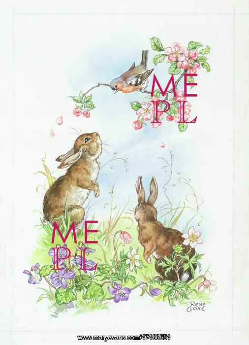  : Two Rabbits with flowers and chaffinch
