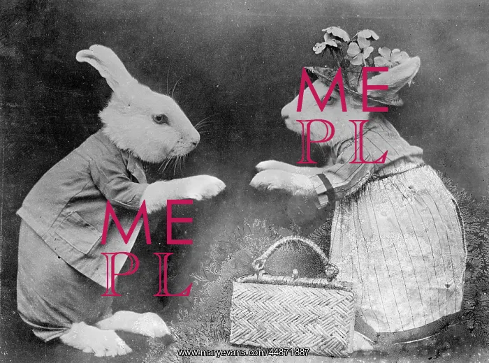  : RABBITS AND HANDBAG