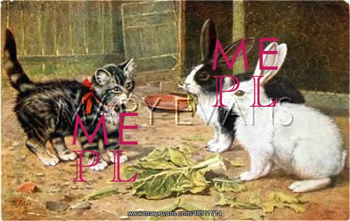 : RABBITS & KITTEN 1923 : RABBITS & KITTEN 1923