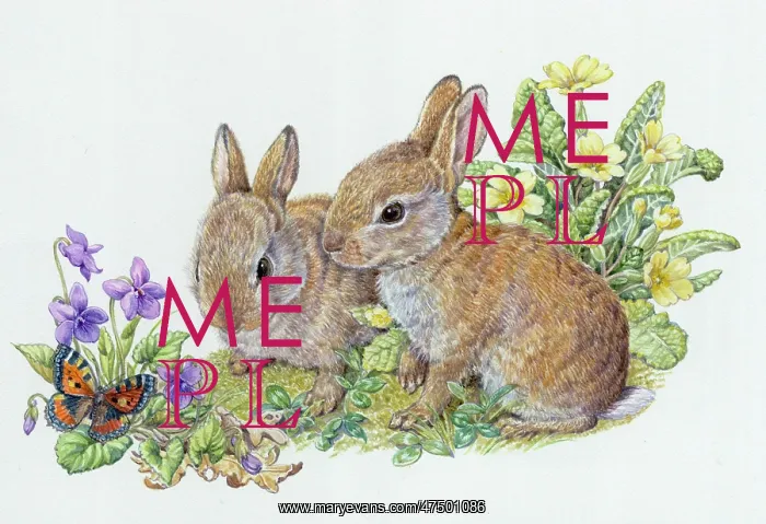 : Two rabbits looking ata butterfly on violets : Two rabbits looking ata butterfly on violets