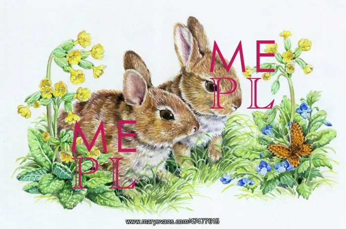 : Two rabbits looking at a butterfly on veronica : Two rabbits looking at a butterfly on veronica