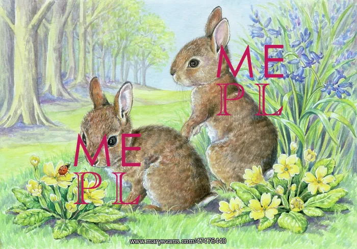 : Two rabbits looking at ladybird on primroses : Two rabbits looking at ladybird on primroses