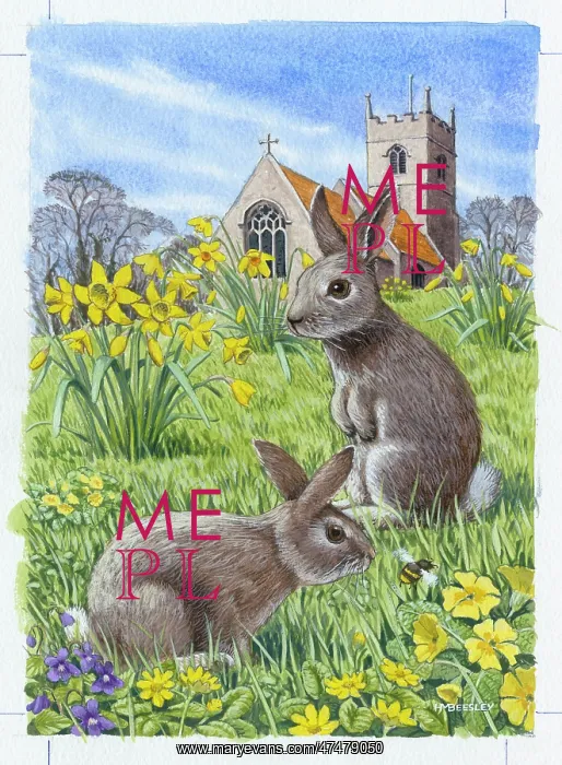  : Two rabbits in meadow with flowers