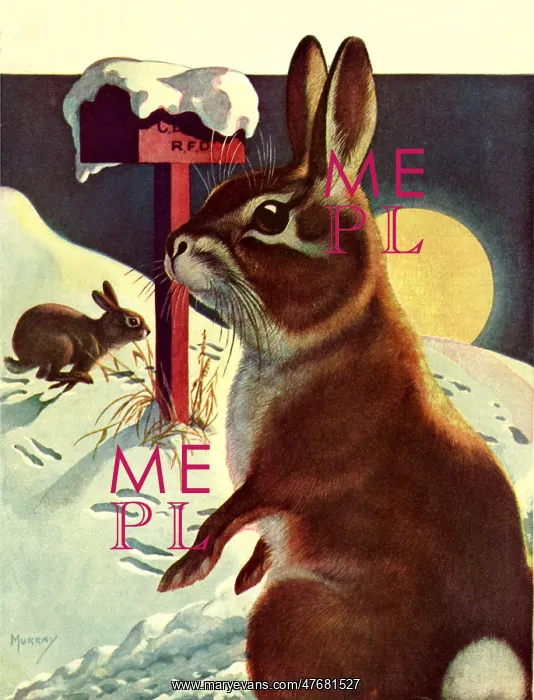  : Rabbits in Moonlight