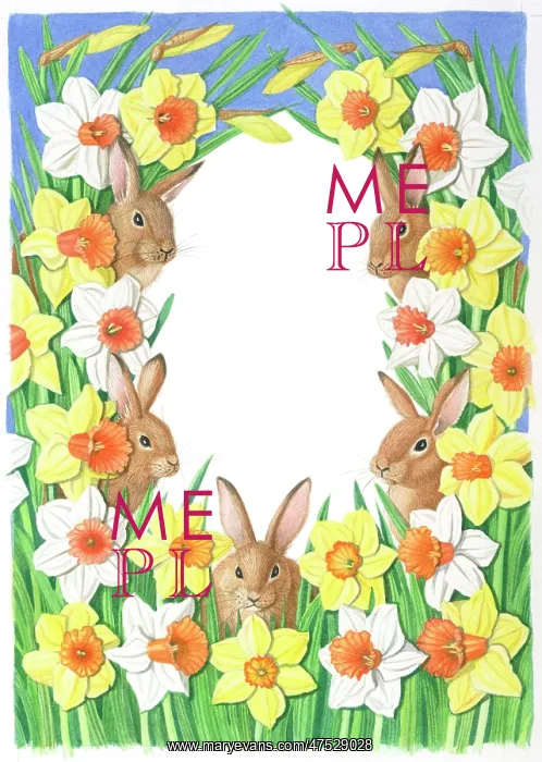 : Rabbits amongst narcissi and daffodils : Rabbits amongst narcissi and daffodils