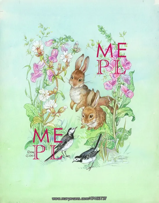  : Two Rabbits with two pied wagtails and foxgloves