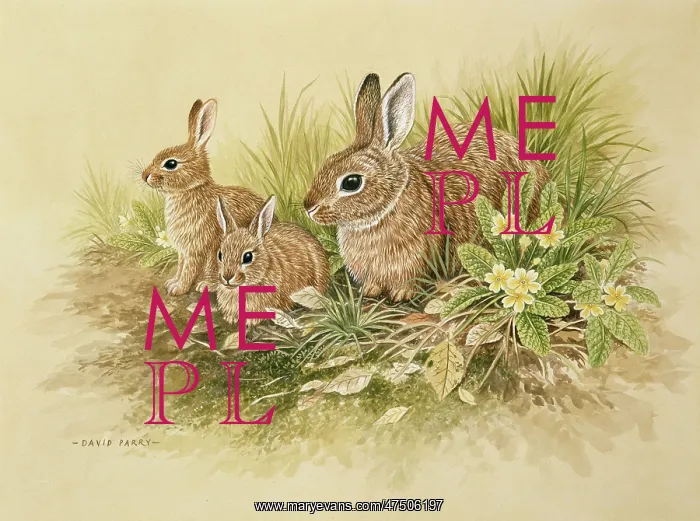 : Three Rabbits with primroses : Three Rabbits with primroses