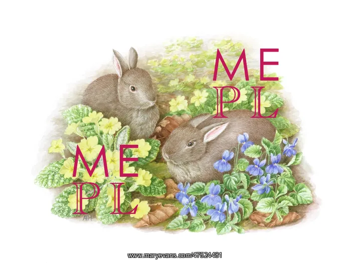  : Two Rabbits with Primroses and Violets