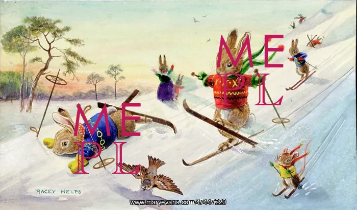  : Rabbits Skiing