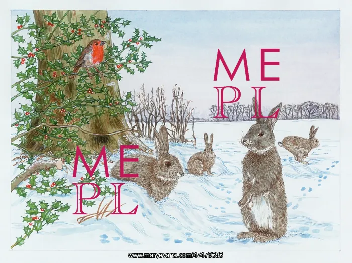  : Rabbits in the snow