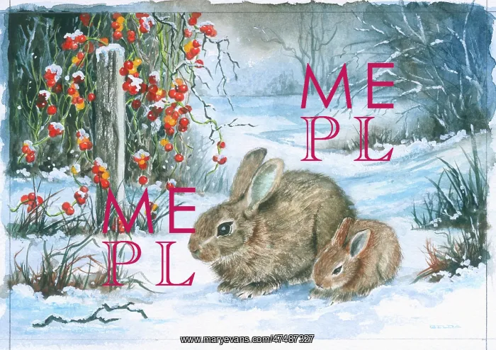 : Two Rabbits in the Snow : Two Rabbits in the Snow