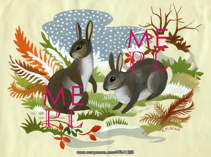  : Two Rabbits in the snow