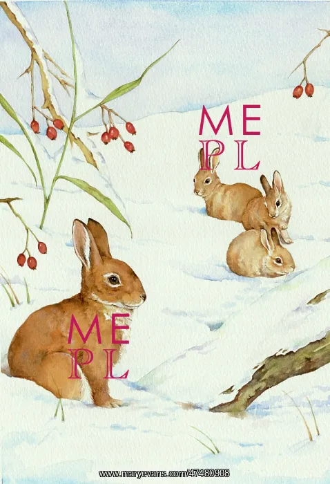  : Four Rabbits in Snow with Hawthorn Berries