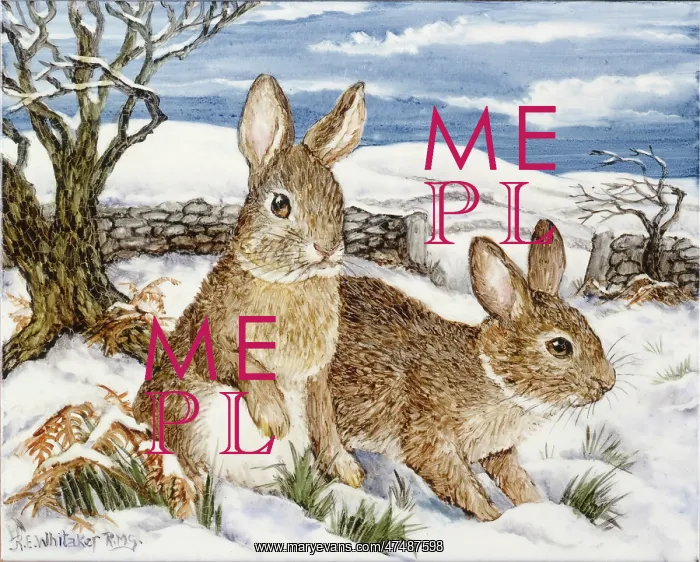 : Two Rabbits in snowy landscape : Two Rabbits in snowy landscape