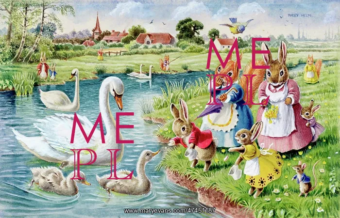  : Rabbits and squirrels feeding swans and cygnets