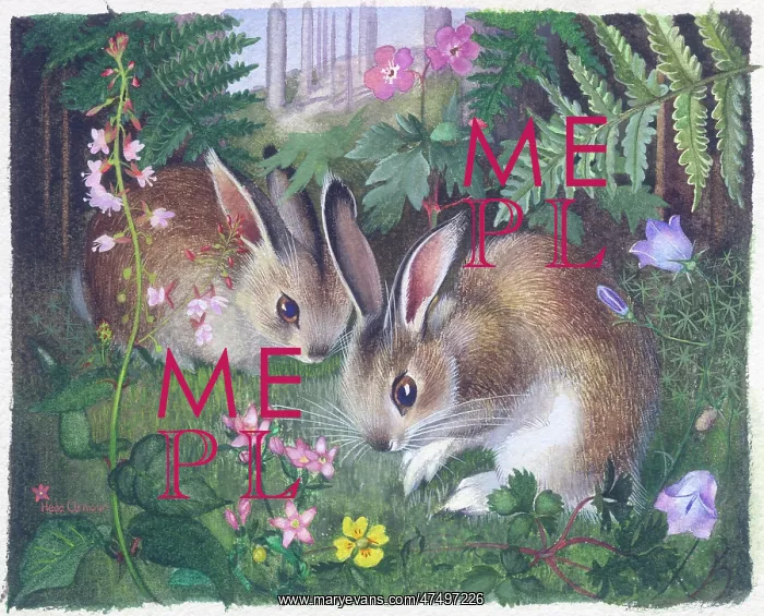 : Two Rabbits with Wild Flowers : Two Rabbits with Wild Flowers