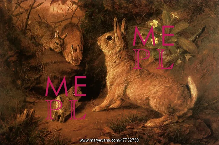  : Rabbits in the Wood