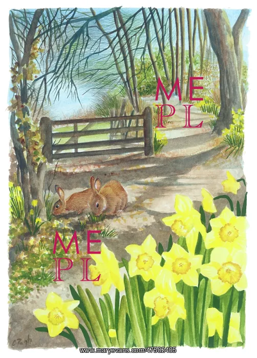 : Rabbits by woodland gate with daffodils : Rabbits by woodland gate with daffodils