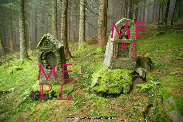 : Rabenbuhl Friedhof - German Cemetery : Rabenbuhl Friedhof - German Cemetery
