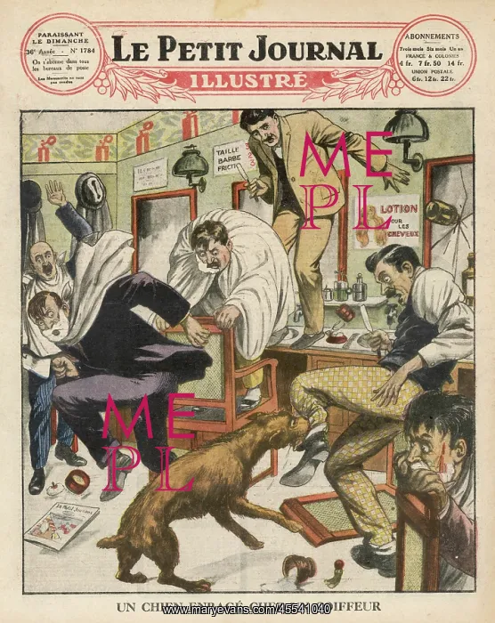 : Rabies - Bitten : Rabies - Bitten