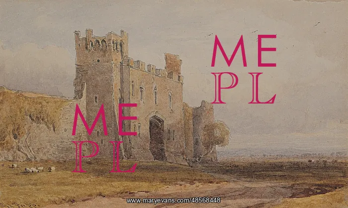 : Raby Castle, Co. Durham : Raby Castle, Co. Durham