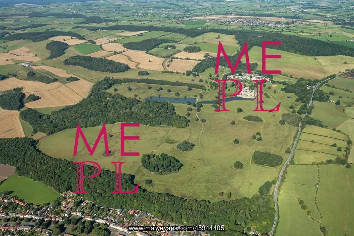 : Raby Castle landscape park, county Durham : Raby Castle landscape park, county Durham