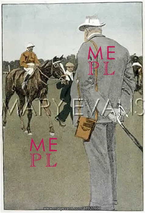 : RACE GOER STUDIES HORSE : RACE GOER STUDIES HORSE