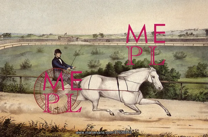  : Race Horse and Driver