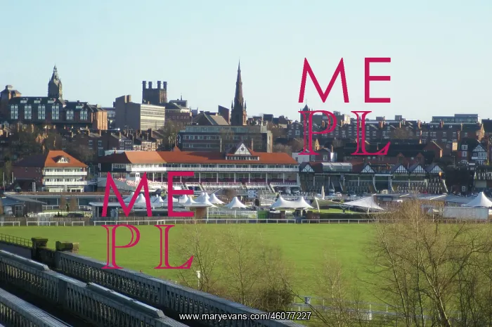  : Racecourse, Chester, Cheshire, England