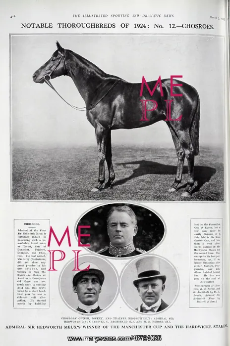 : The Racehorse Chosroes : The Racehorse Chosroes