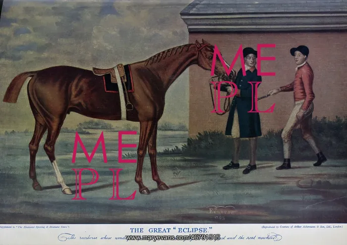 : The Racehorse Eclipse : The Racehorse Eclipse