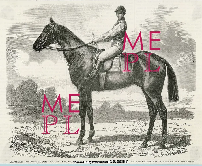 : Racehorse Gladiateur : Racehorse Gladiateur