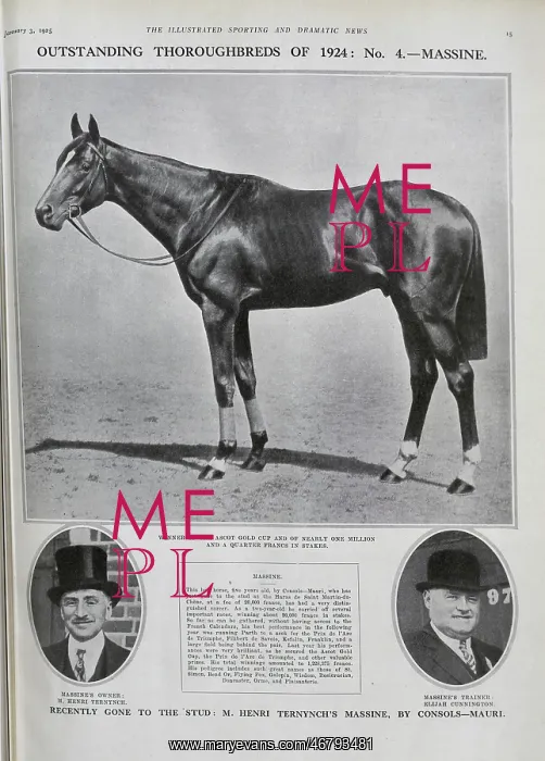 : The Racehorse Massine : The Racehorse Massine