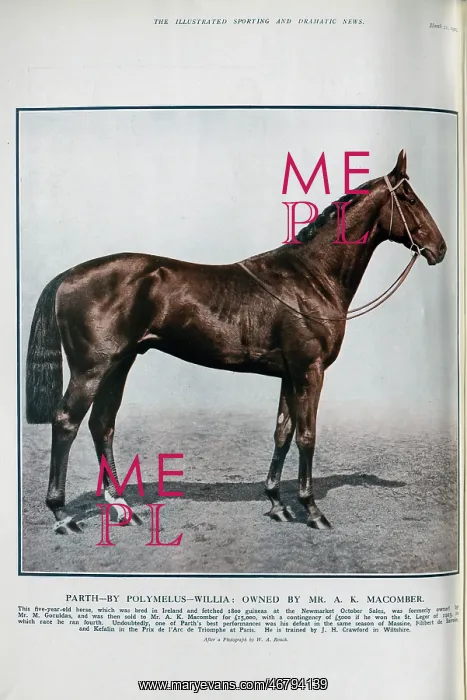 : The Racehorse Parth : The Racehorse Parth
