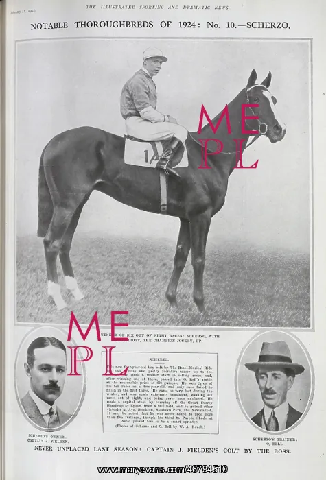 : The Racehorse Scherzo : The Racehorse Scherzo