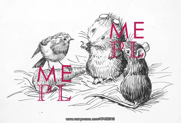  : Racey Helps - Guinea Pig Podge