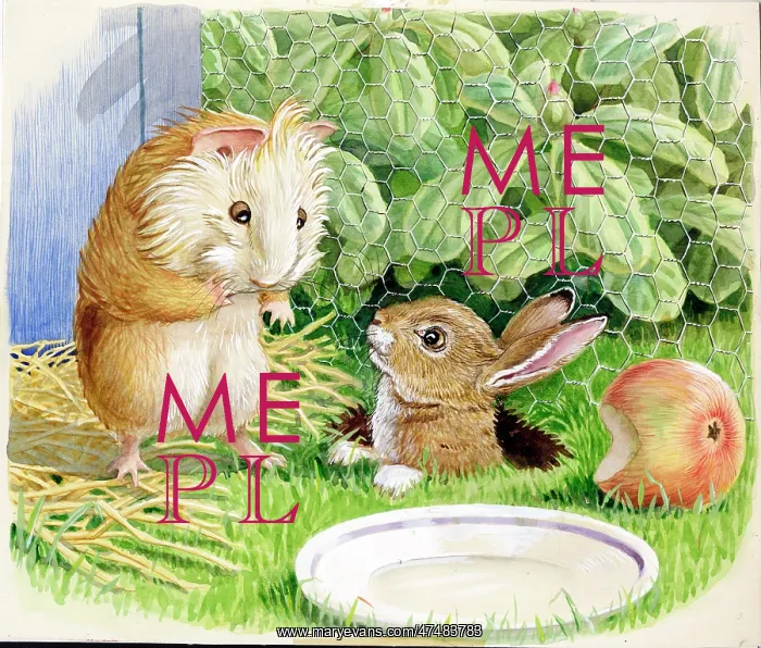  : Racey Helps - Guinea Pig Podge