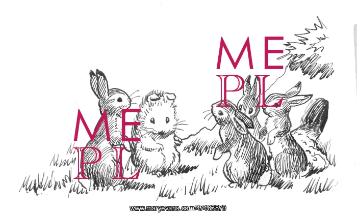  : Racey Helps - Guinea Pig Podge