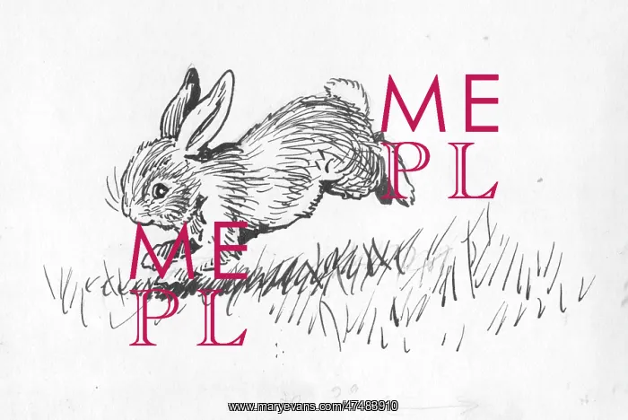  : Racey Helps - Guinea Pig Podge