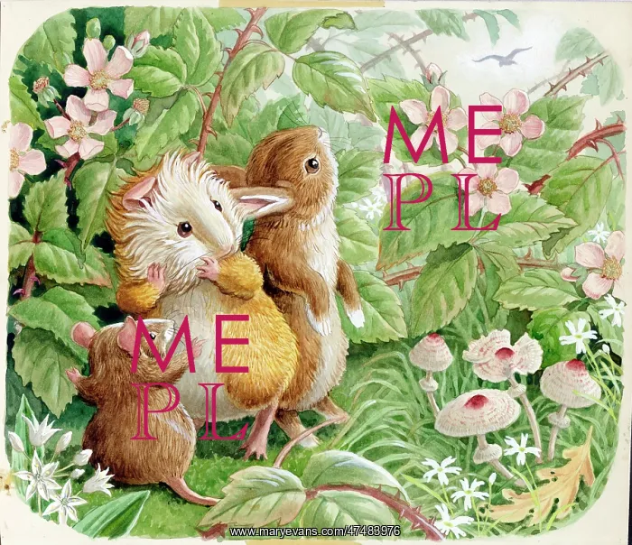  : Racey Helps - Guinea Pig Podge