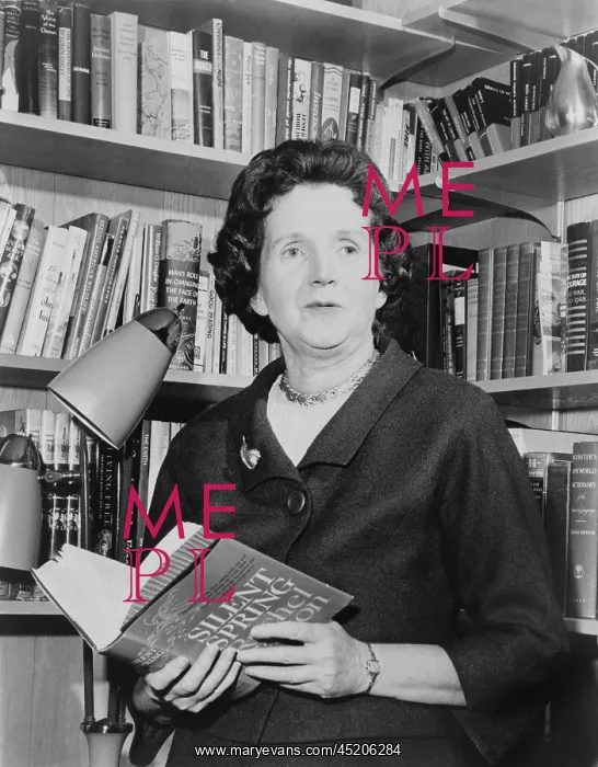 : Rachel Carson (1907-1964), biologist and ? : Rachel Carson (1907-1964), biologist and ?