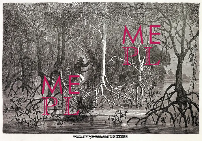 : RACIAL / ABORIGINE C1870 : RACIAL / ABORIGINE C1870
