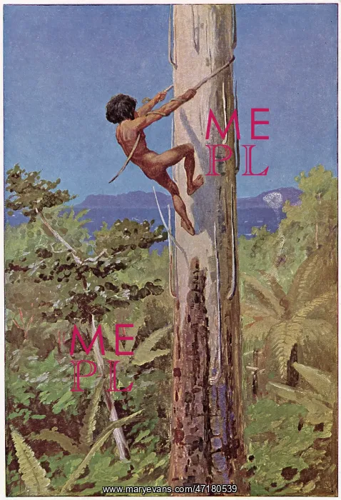 : RACIAL / ABORIGINE C1900