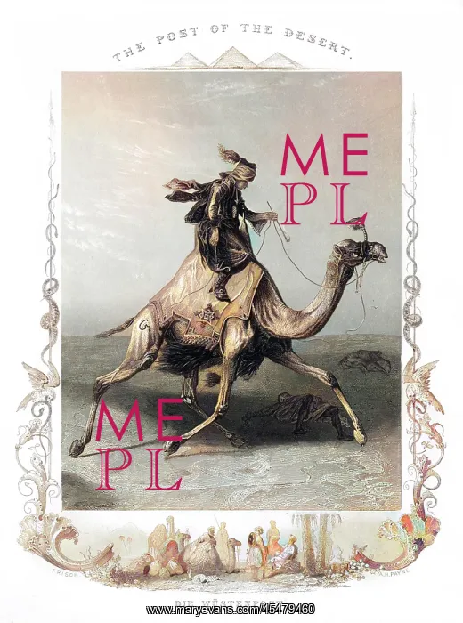  : RACIAL / ARABS / CAMEL 19C