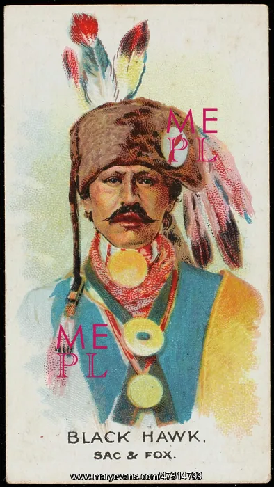 : RACIAL / BLACK HAWK / SACS : RACIAL / BLACK HAWK / SACS