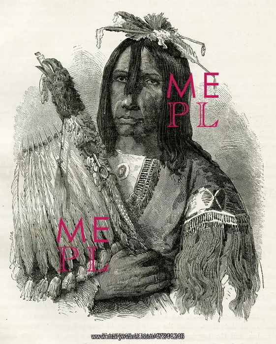  : RACIAL / BLACKFOOT CHIEF