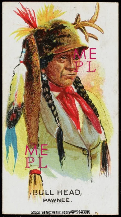  : RACIAL / BULL HEAD / PAWNEE